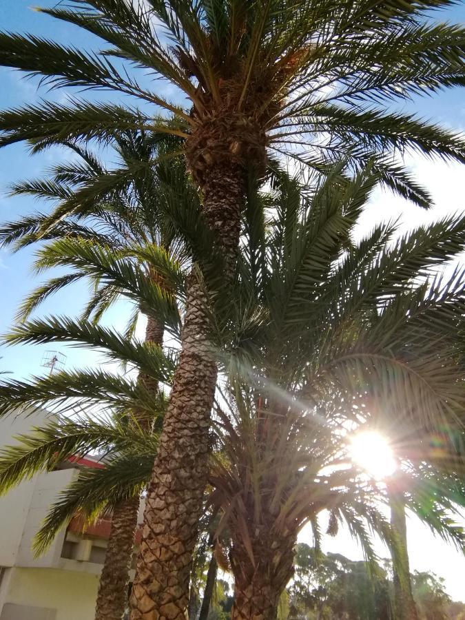 Cozy Apartment With Amazing Views To Garden Next To The Ocean Costa Del Silencio Exterior foto